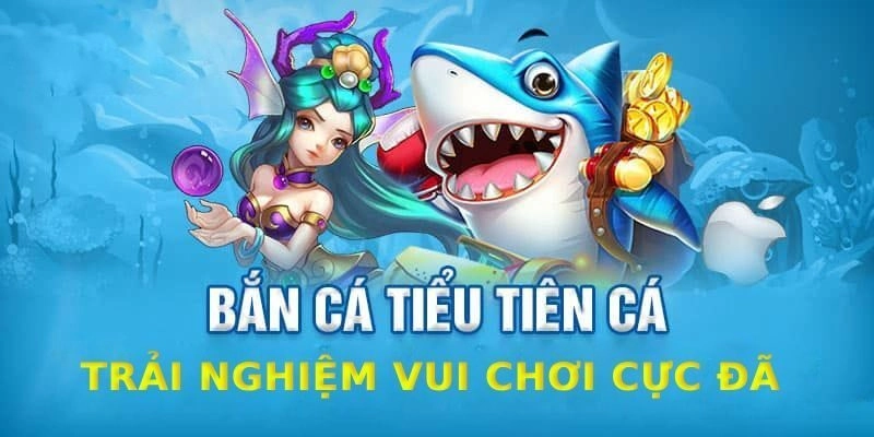 Tổng quan các thông tin về bắn cá tiểu tiên cá