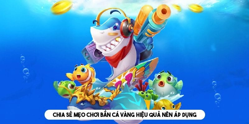 Chiến thuật bắn cá ria đem lại nguồn vốn hấp dẫn